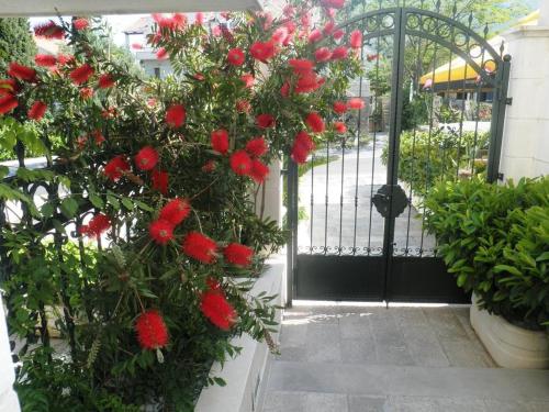 Una puerta negra con flores rojas delante. en Apartments Logos, en Cavtat