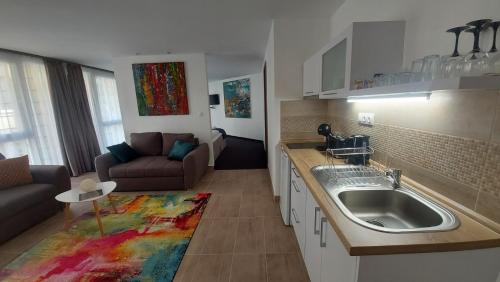 Majoituspaikan City Center Apartmanház keittiö tai keittotila