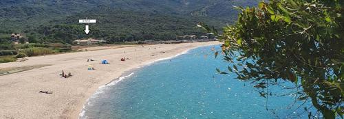 Le Narval-appartement 5