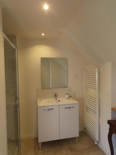 une salle de bain avec un lavabo blanc et un miroir dans l'établissement La Maison aux pignons verts, à La Chapelle-Saint-Aubert