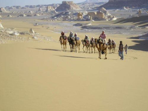 a group of people riding horses in the desert at Elysium resort in Bawiti in Bawiti