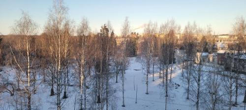 an aerial view of a snow covered field with trees at Valjastehdas in Oulu
