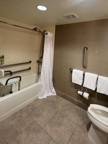 a bathroom with a tub and a toilet and a sink at Holiday Inn Express & Suites Bloomington West by IHG in Bloomington