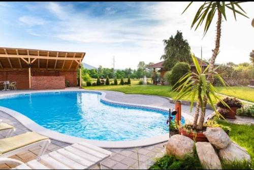 索科礦泉村的住宿－Smestaj Milovanovic，棕榈树庭院中的游泳池