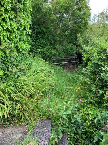 Aed väljaspool majutusasutust Pwllheli Marina Welsh Cottage by Plas Heli & the sea