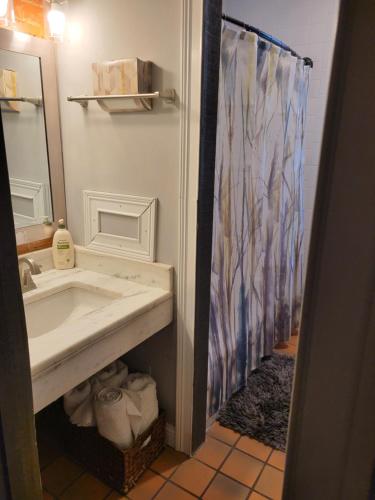 uma casa de banho com um lavatório e uma cortina de chuveiro em Modern style and comfort near UC em Cincinnati