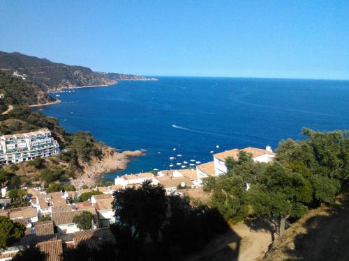 Goleta, Tossa de Mar – Bijgewerkte prijzen 2022