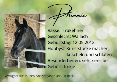 a poster for a horse show with a picture of a horse at Gemütliche Landhaus Wohnung auf dem Ponyhof - Himmelbett, Kamin & Garten in Ortenberg