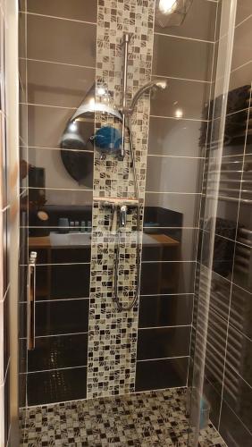 La salle de bains est pourvue d'une douche avec du carrelage noir et blanc. dans l'établissement VILLA LES COQUELICOTS, à Gujan-Mestras