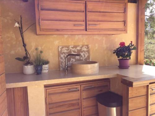 um balcão de cozinha com um lavatório e algumas plantas em Bergerie tout confort L'immortelle em Saint-Florent