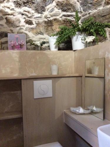 um balcão com vasos de plantas em cima de uma parede em Bergerie tout confort L'immortelle em Saint-Florent