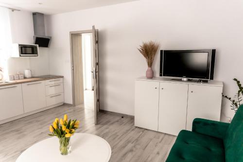 een woonkamer met een bank, een tv en een tafel bij Apartament pod lasem in Ołdrzychowice Kłodzkie
