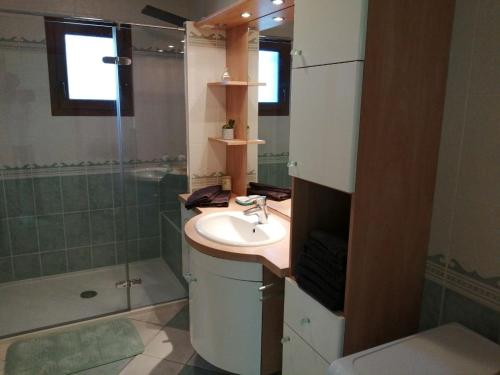 een badkamer met een wastafel, een douche en een toilet bij Maison au calme, grand jardin in Lailly-en-Val