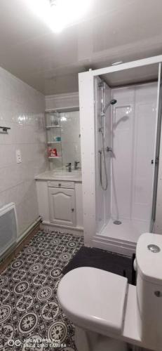 une salle de bain blanche avec douche et toilettes dans l'établissement Appartement Cosy au cœur de la Champagne, à Cramant