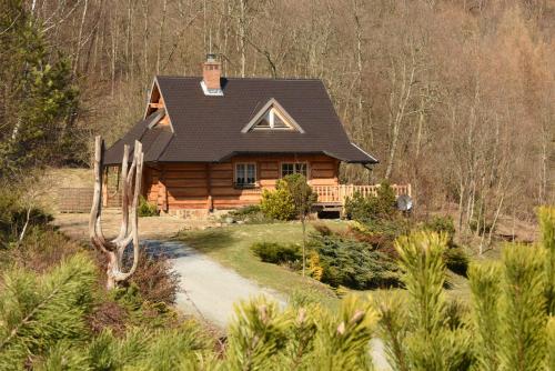 a log home with a pathway in front of it at Leśne uroczysko in Cisna