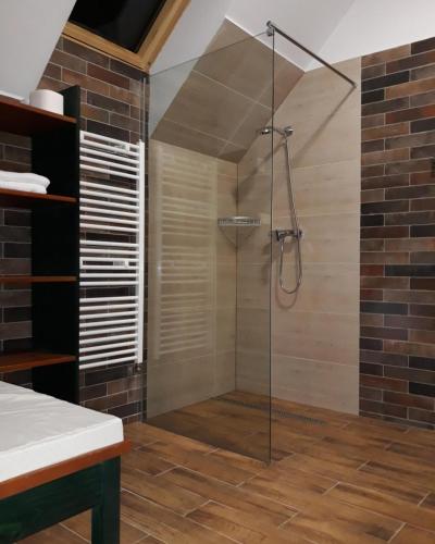 a shower with a glass door in a bathroom at Csendes Bükk 2 Kulcsosház in Izvoare