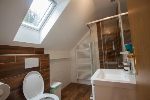 a bathroom with a toilet and a sink and a window at Podskalí Adršpach in Teplice nad Metují