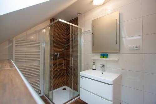 a bathroom with a shower and a toilet and a sink at Podskalí Adršpach in Teplice nad Metují
