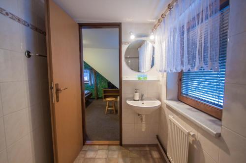 a bathroom with a sink and a mirror at Podskalí Adršpach in Teplice nad Metují