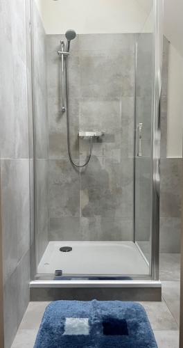 a shower with a glass door in a bathroom at Ubytování Zátiší 2 Olomouc in Olomouc