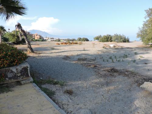 a dirt road with a giraffe in a field at Urbanización Manilva Beach 21 in Manilva