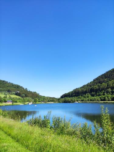 a lake in the middle of a grassy field at Zentrale und gemütliche Ferienwohnung in Winterberg nah an der Natur in Winterberg