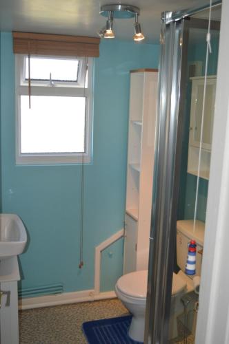 baño con aseo y ventana en The Crandale House Vacation Home, en Bath