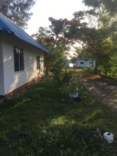a yard next to a white house with a tree at Tayana place in Kizimkazi