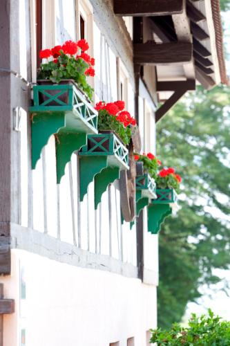 a building with flower boxes on the side of it at Naturhotel Holzwurm in Sasbachwalden