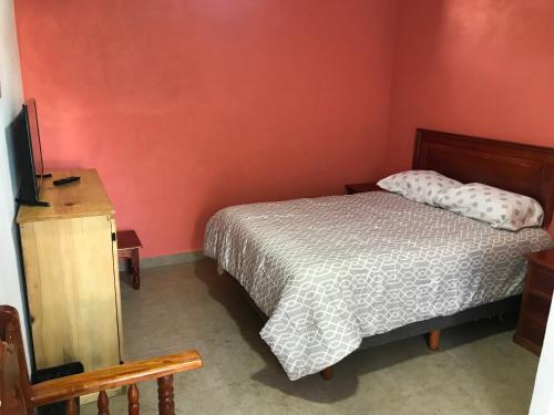 - une chambre avec un lit et une télévision dans l'établissement Casa alebrijes, à San Agustin de las Juntas