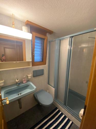 Koupelna v ubytování Haus Wiggis