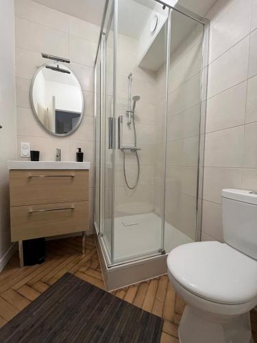 une salle de bain avec une douche, des toilettes et un lavabo dans l'établissement VANNES INTRA MUROS T2 LES HALLES, à Vannes
