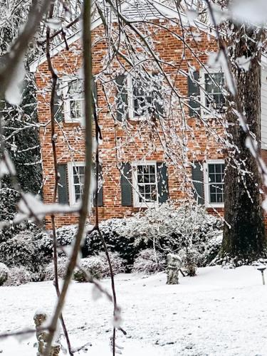 a brick building with snow on the branches of a tree at Colonial Gardens B & B in Williamsburg