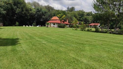 a large grass field with a house in the background at Cabañas los cactus 2 in Huasca de Ocampo