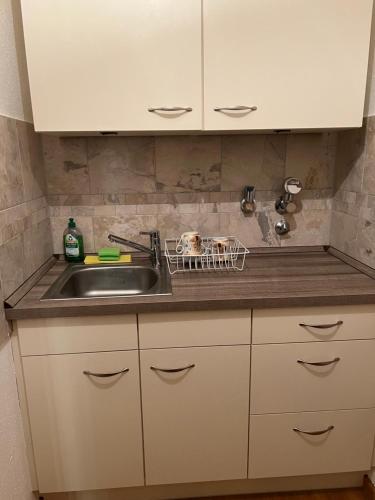 a kitchen counter top with a sink and a sink at Apartment am Königsplatz in Augsburg