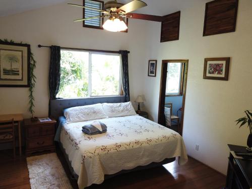 Hawaiian Ohana Home في هيلو: غرفة نوم بسرير مع مروحة ونافذة