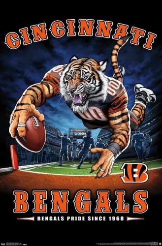 a poster of a tiger catching a football at Modern style and comfort near UC in Cincinnati