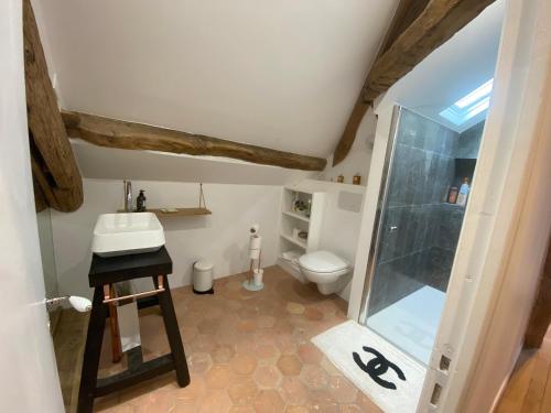 een badkamer met een toilet, een wastafel en een douche bij Loft dans le clocher face au chateau in Bonnelles