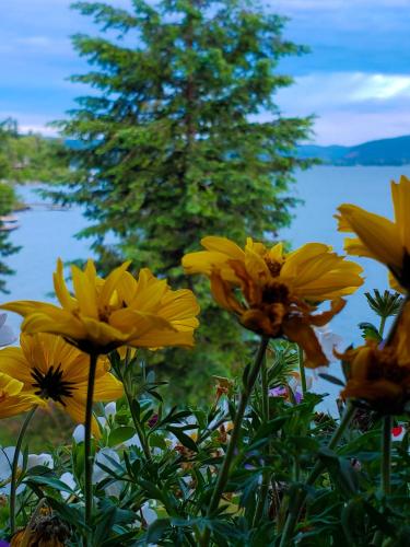 Gallery image of Lodge at Sandpoint in Sandpoint