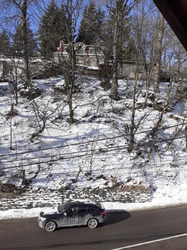 a car is parked on the side of the road at CASA RYANA SINAIA in Sinaia