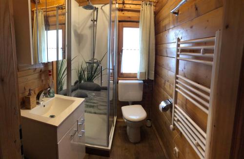 a bathroom with a toilet and a sink and a mirror at Blockhaus Noffke in Stamsried
