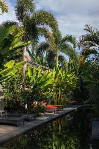 a garden with palm trees and a pond with benches at Le Chien Rouge in Lovina