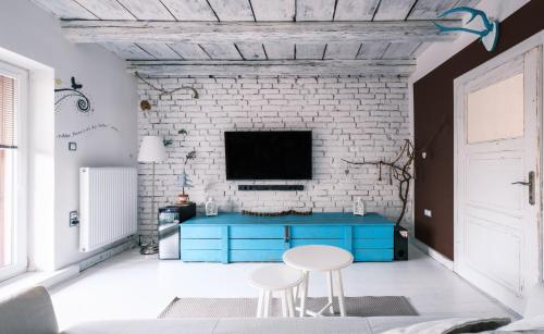 TV a/nebo společenská místnost v ubytování Apartmán Malý princ
