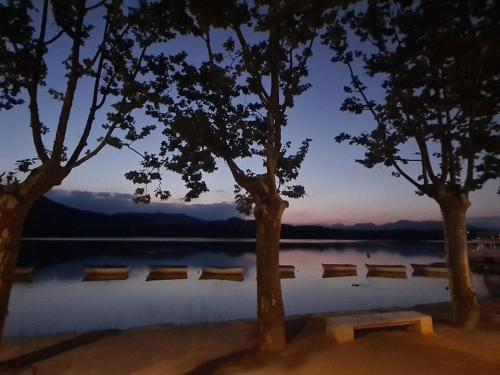 a view of a lake with trees and benches at Harveys Homestay - Adults only in Mieres