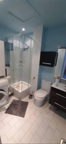 une salle de bain avec une douche, des toilettes et un lavabo dans l'établissement La Maison Jeanne, Portiragnes Plage, à Portiragnes