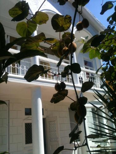Балкон или терраса в White Guest House