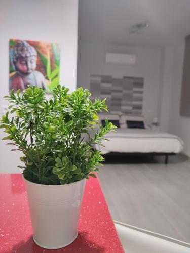 Apartamento Madrid Norte