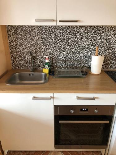 a kitchen counter with a sink and a microwave at Venta City Apartment in Venta