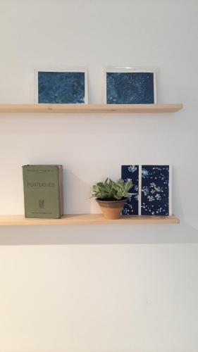 a shelf with three pictures and a plant on it at O VIOLAS - Art Coffee & Guesthouse in Praia de Mira