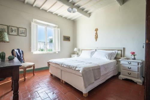 a bedroom with a bed and a desk and a window at Casolare del Pin Bono in Altopascio